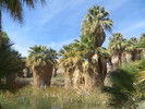 photo thumbnail #4