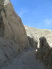 photo thumbnail #14