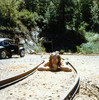 photo thumbnail #5