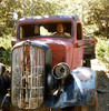 photo thumbnail #9