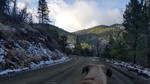 photo thumbnail #5