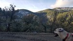 photo thumbnail #10