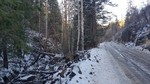 photo thumbnail #13