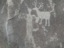 photo thumbnail #14