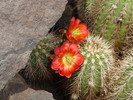 photo thumbnail #14