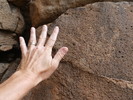 photo thumbnail #15