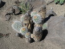 photo thumbnail #5