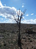 photo thumbnail #15