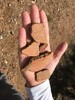 photo thumbnail #8