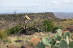 photo thumbnail #6