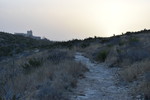 photo thumbnail #7