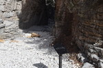 photo thumbnail #11
