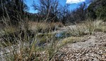 photo thumbnail #15