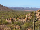photo thumbnail #9