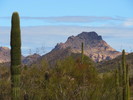 photo thumbnail #5