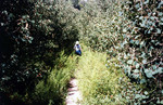 photo thumbnail #1