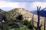 photo thumbnail #4