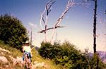 photo thumbnail #11