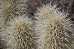photo thumbnail #2