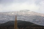photo thumbnail #5