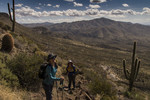 photo thumbnail #6