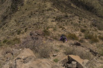 photo thumbnail #14