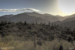photo thumbnail #3