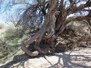 photo thumbnail #14