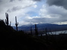 photo thumbnail #2