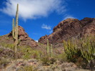 photo thumbnail #3