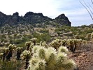 photo thumbnail #12
