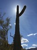 photo thumbnail #13