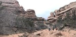 photo thumbnail #3