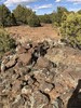 photo thumbnail #3