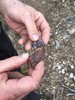 photo thumbnail #14