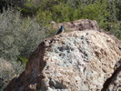 photo thumbnail #8