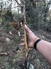 photo thumbnail #3