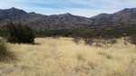 photo thumbnail #1