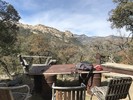 photo thumbnail #2