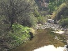 photo thumbnail #7
