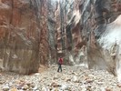 photo thumbnail #10