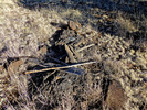 photo thumbnail #2