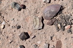 photo thumbnail #14