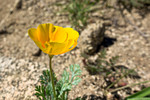 photo thumbnail #13