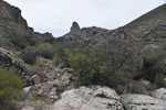 photo thumbnail #5