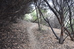 photo thumbnail #9