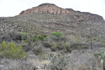photo thumbnail #10