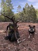 photo thumbnail #6