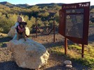 photo thumbnail #4