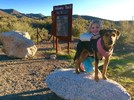 photo thumbnail #5
